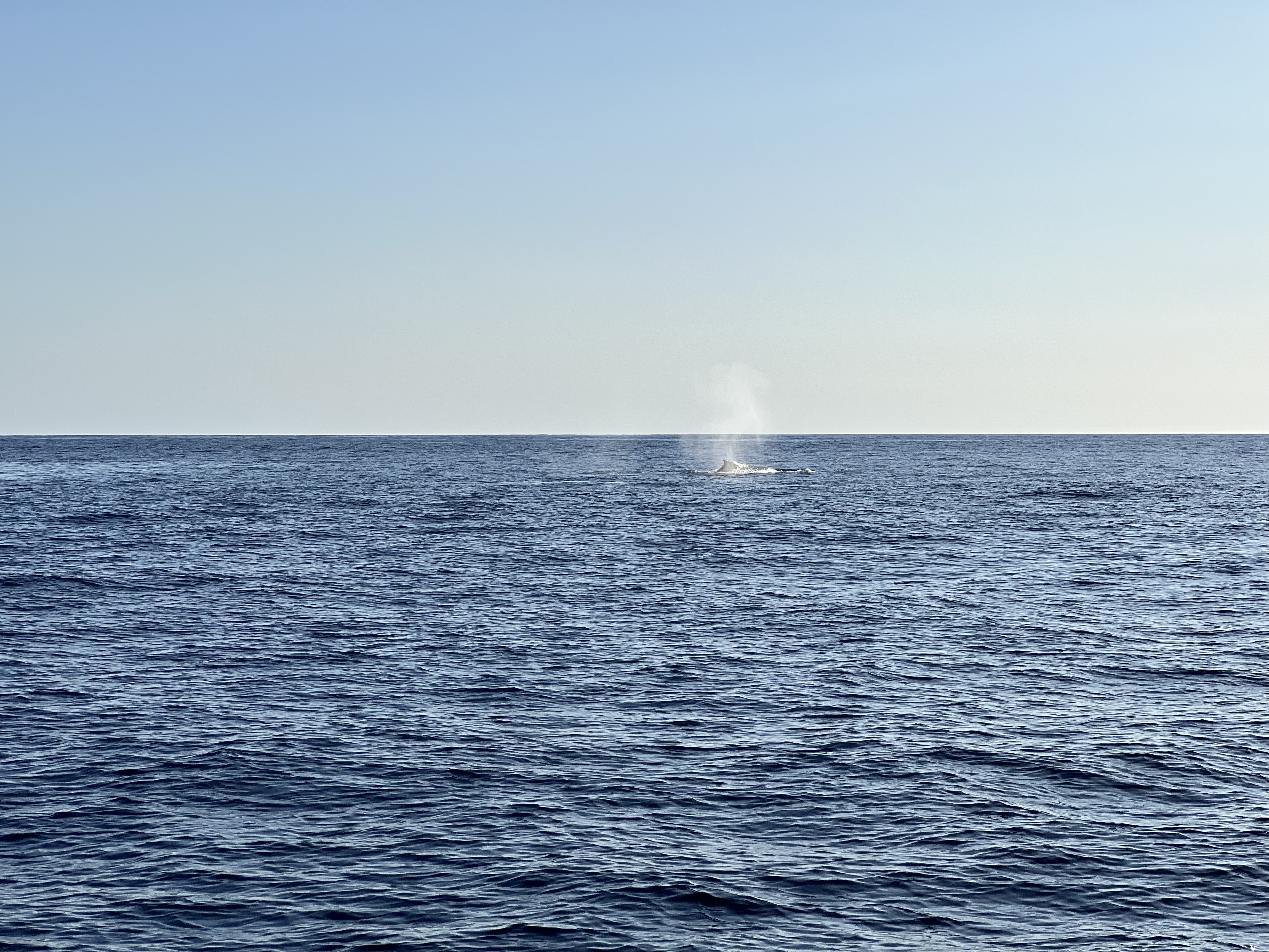 ./2024/13 - Cabo/IMG_4664.jpg